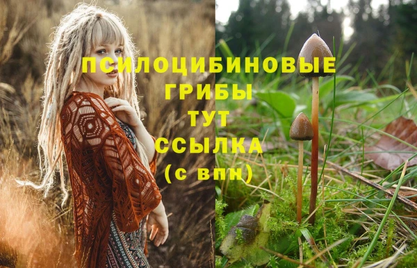 кокаин премиум Арсеньев